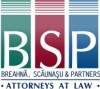 logo mircea breahna